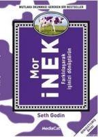 Vorderes Coverbild Mor Inek