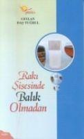 Vorderes Coverbild Raki Sisesinde Balik Olmadan