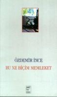 Vorderes Coverbild Bu Ne Bicim Memleket