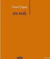 Vorderes Coverbild Ara Sicak