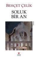 Vorderes Coverbild Soluk Bir An