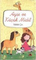 Vorderes Coverbild Ayse ve Kücük Midil