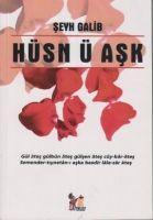 Vorderes Coverbild Hüsn ü Ask