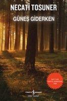 Vorderes Coverbild Günes Giderken