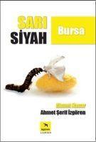 Vorderes Coverbild Sari Siyah Bursa
