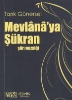 Vorderes Coverbild Mevlanaya Sükran