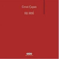 Vorderes Coverbild Su Sesi