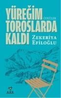 Vorderes Coverbild Yüregim Toroslarda Kaldi