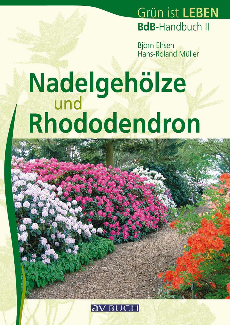 Vorderes Coverbild Nadelgehöze und Rhododendron