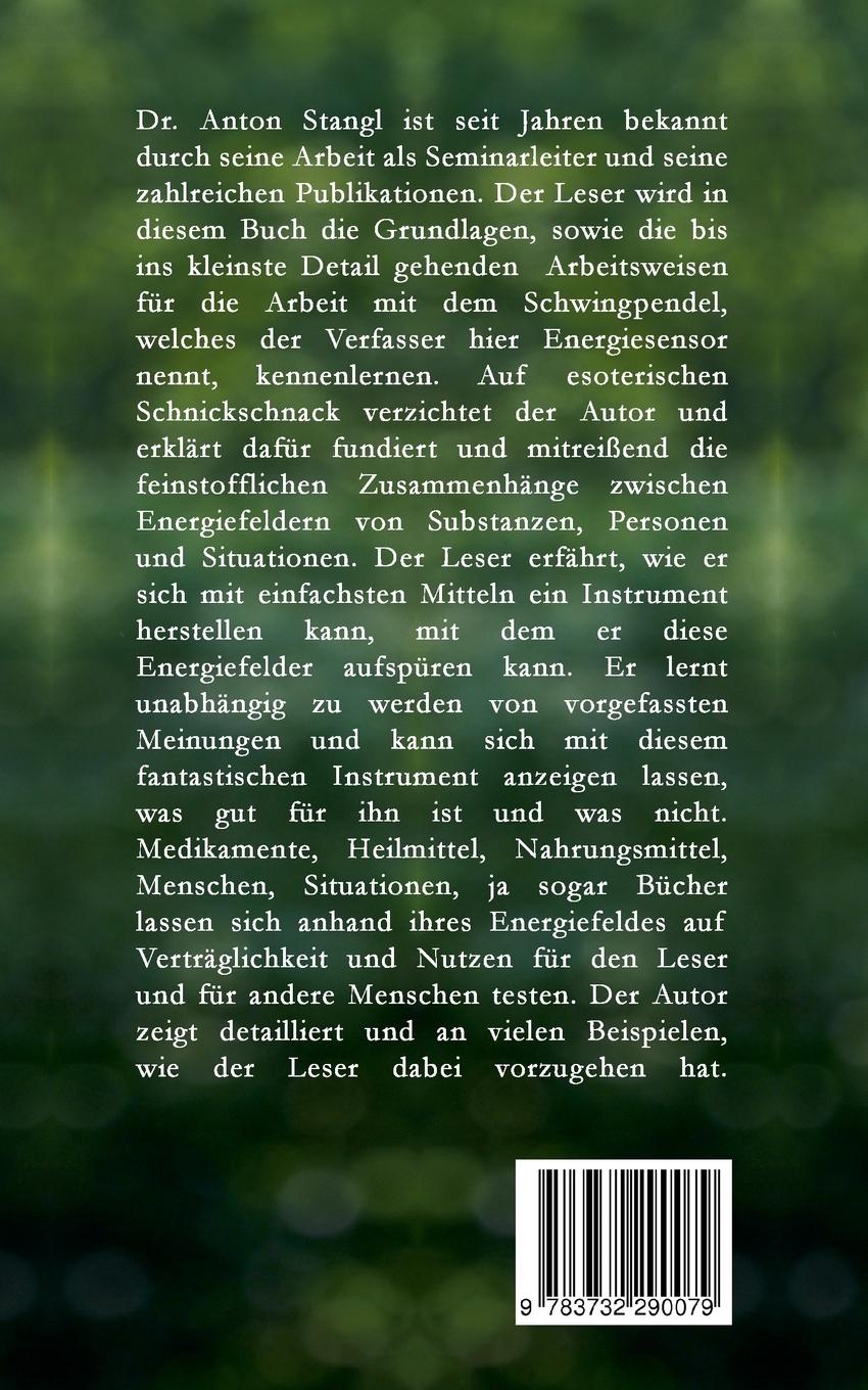 Rückseitencover Der Schwingpendel als Energiesensor