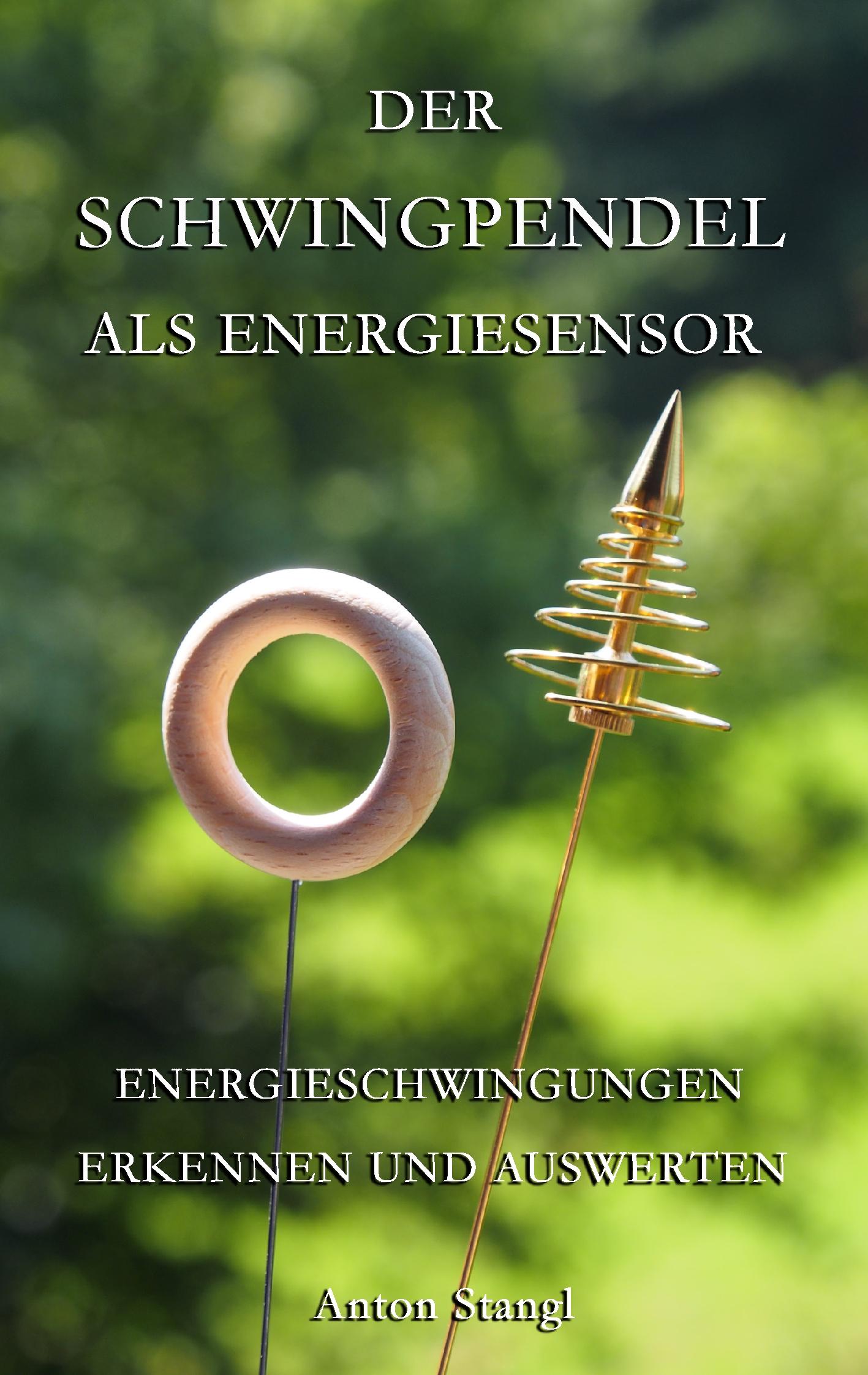 Vorderes Coverbild Der Schwingpendel als Energiesensor