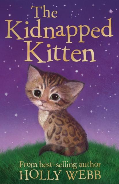 Vorderes Coverbild The Kidnapped Kitten