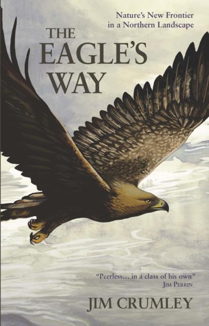 Vorderes Coverbild The Eagle's Way