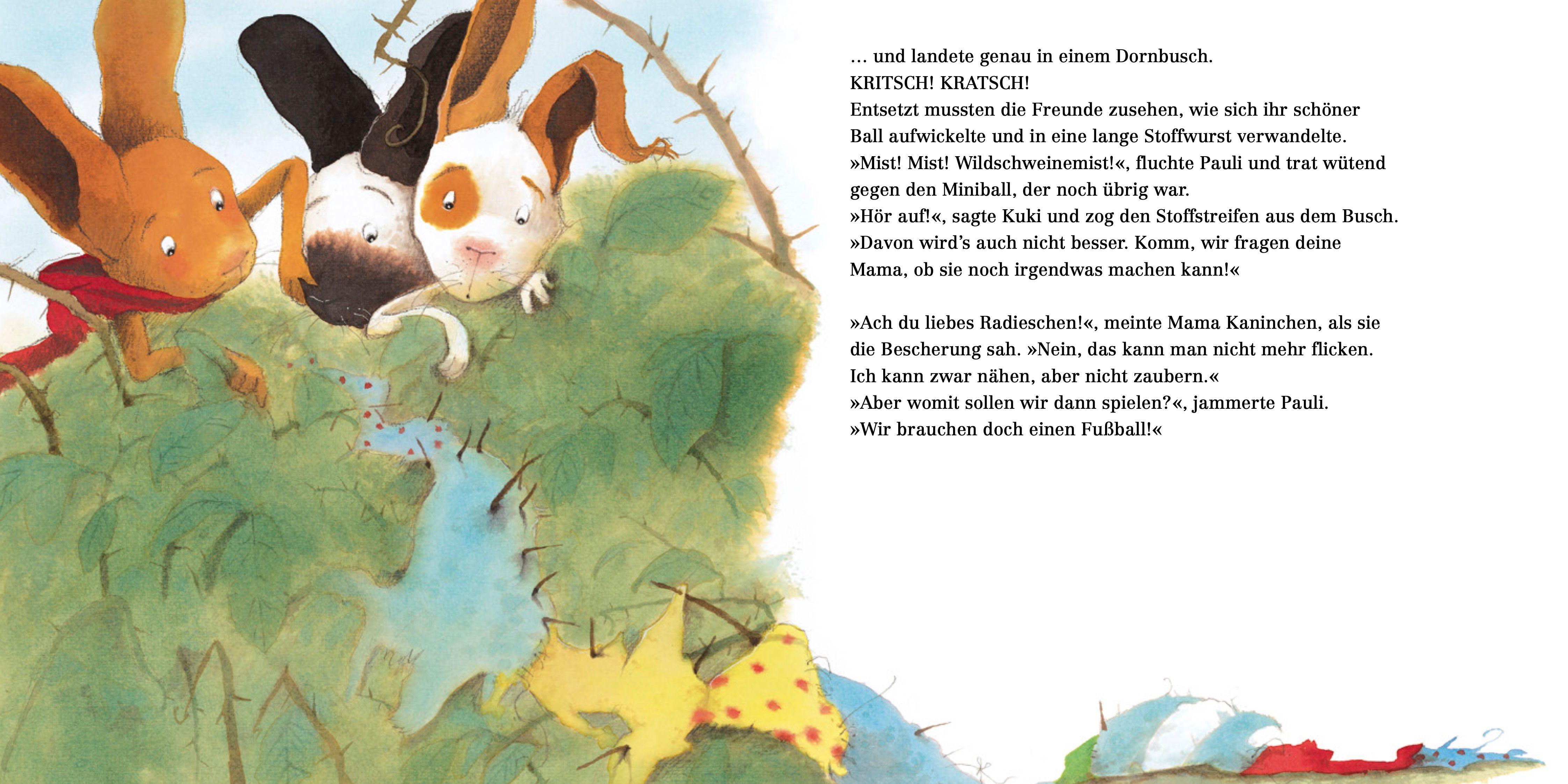 Beispielinhalt (Bild) Pauli - Fußballstar