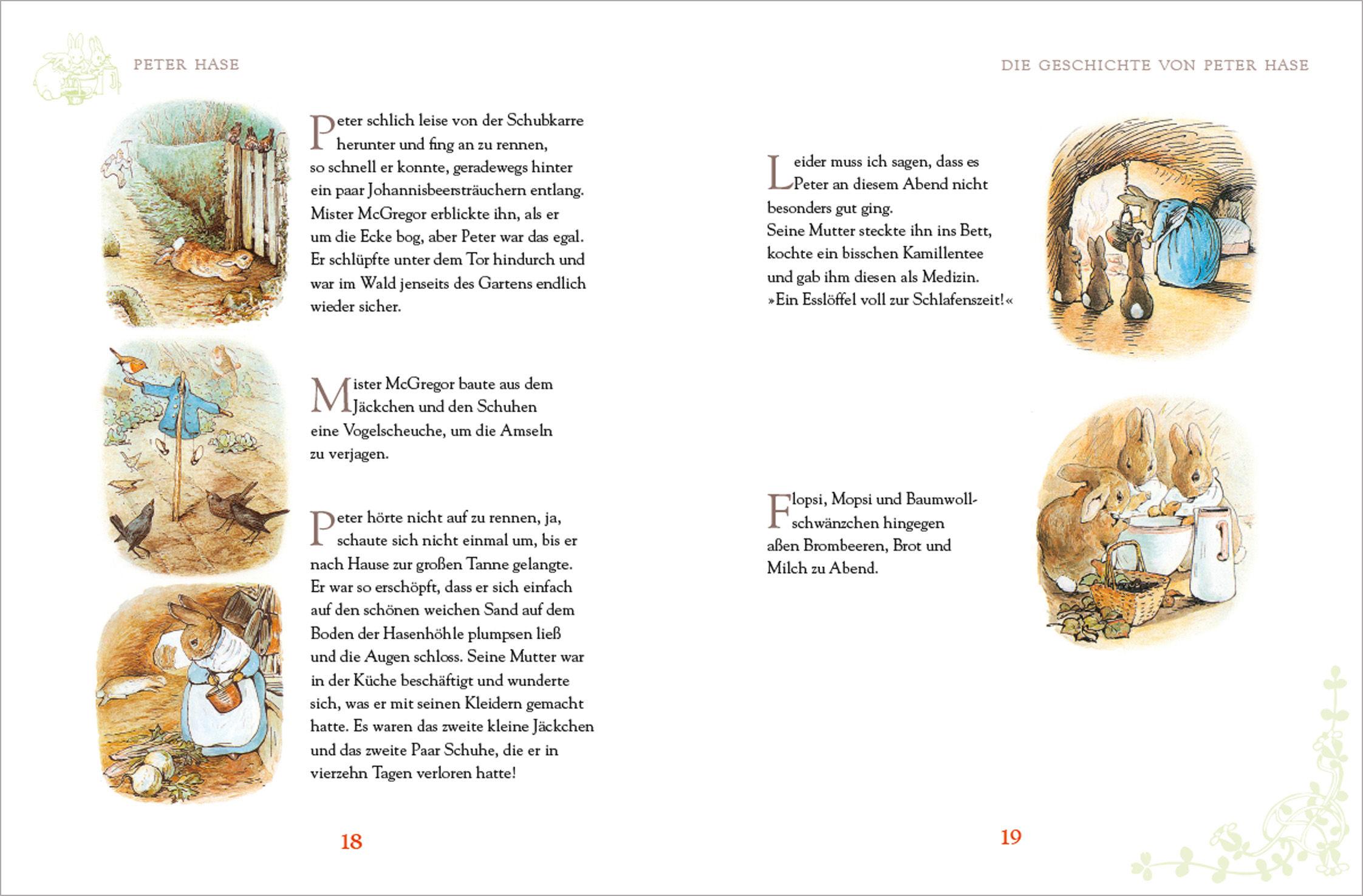 Beispielinhalt (Bild) Peter Hase - Sämtliche Abenteuer