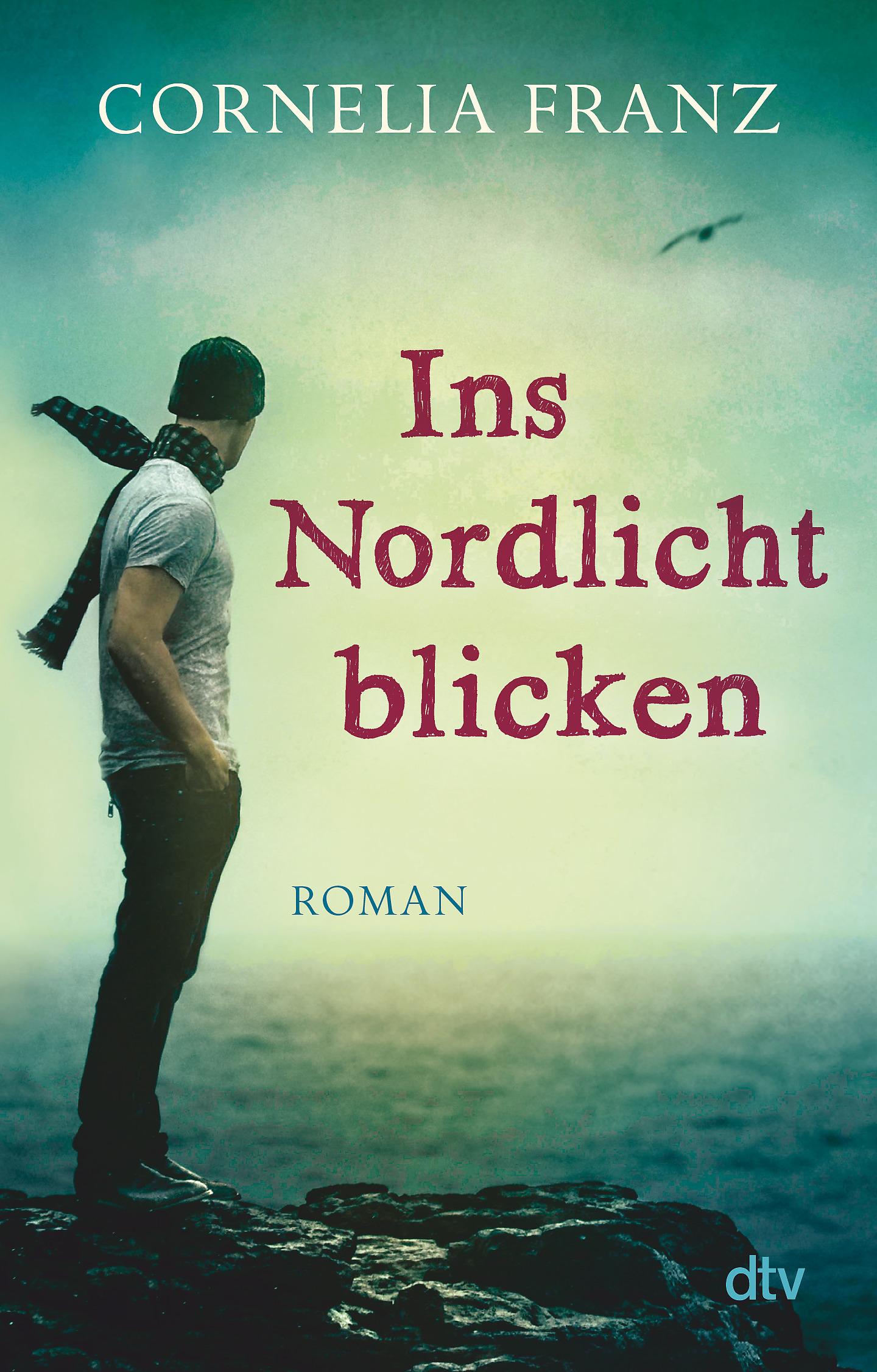 Vorderes Coverbild Ins Nordlicht blicken