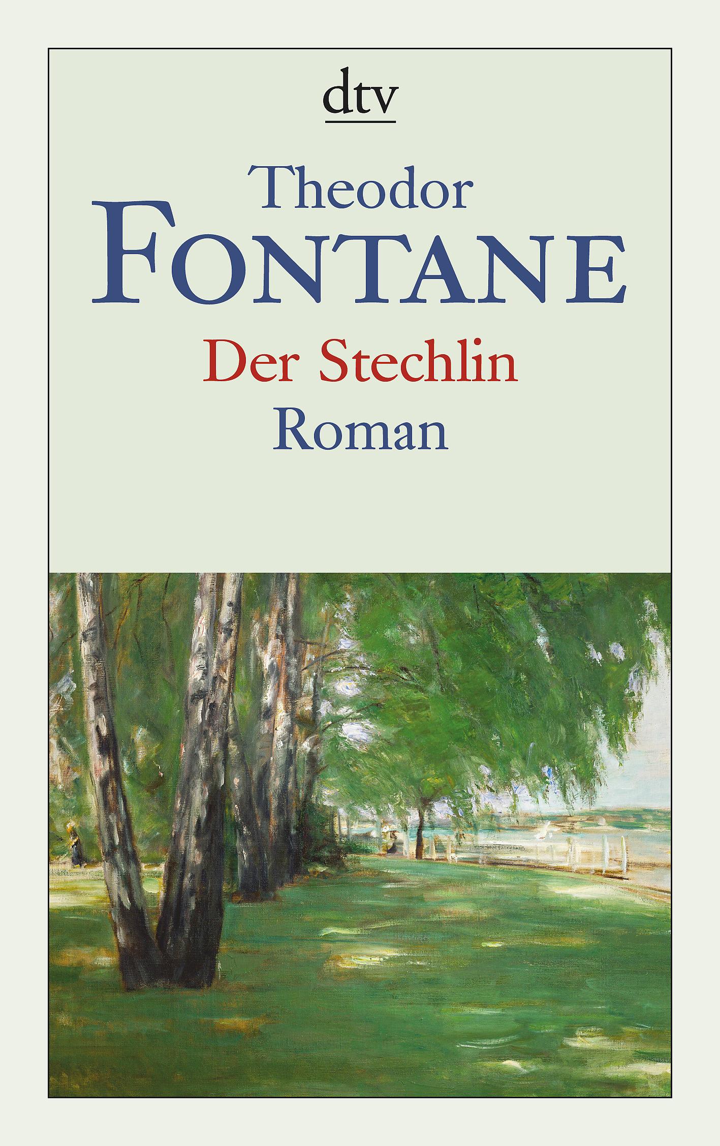 Vorderes Coverbild Der Stechlin