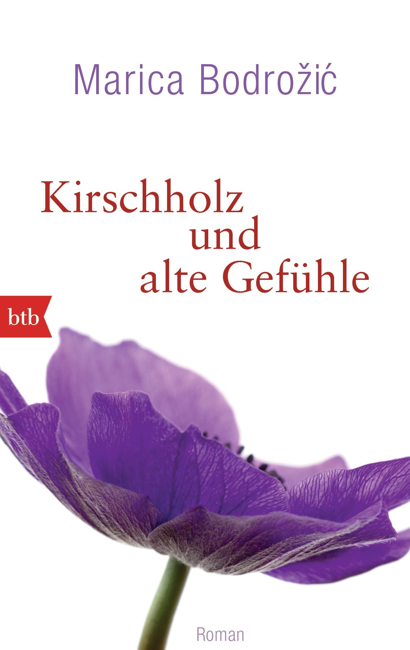 Vorderes Coverbild Kirschholz und alte Gefühle