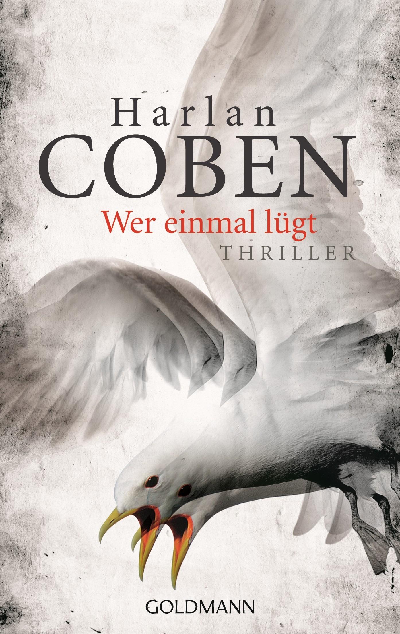 Vorderes Coverbild Wer einmal lügt