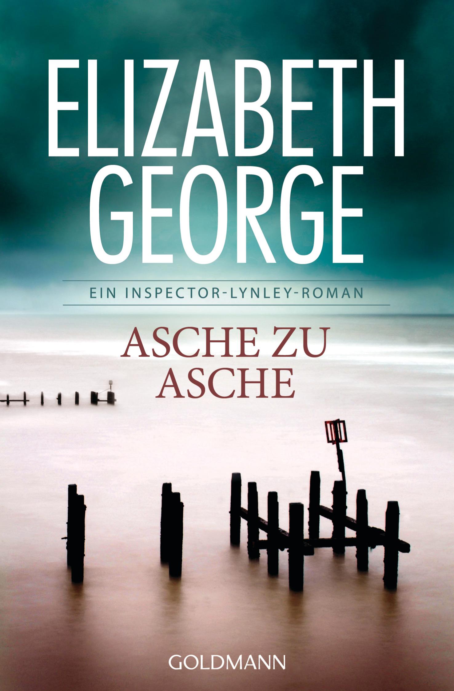 Vorderes Coverbild Asche zu Asche