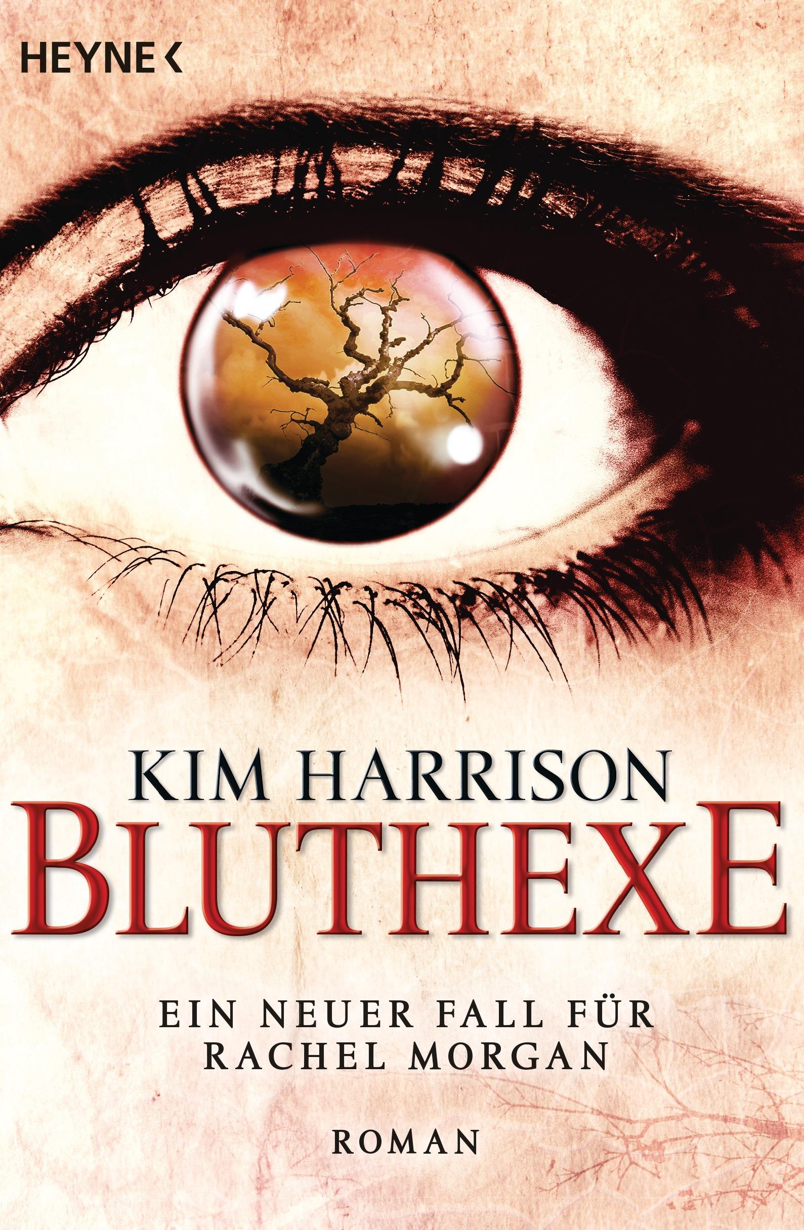 Vorderes Coverbild Bluthexe