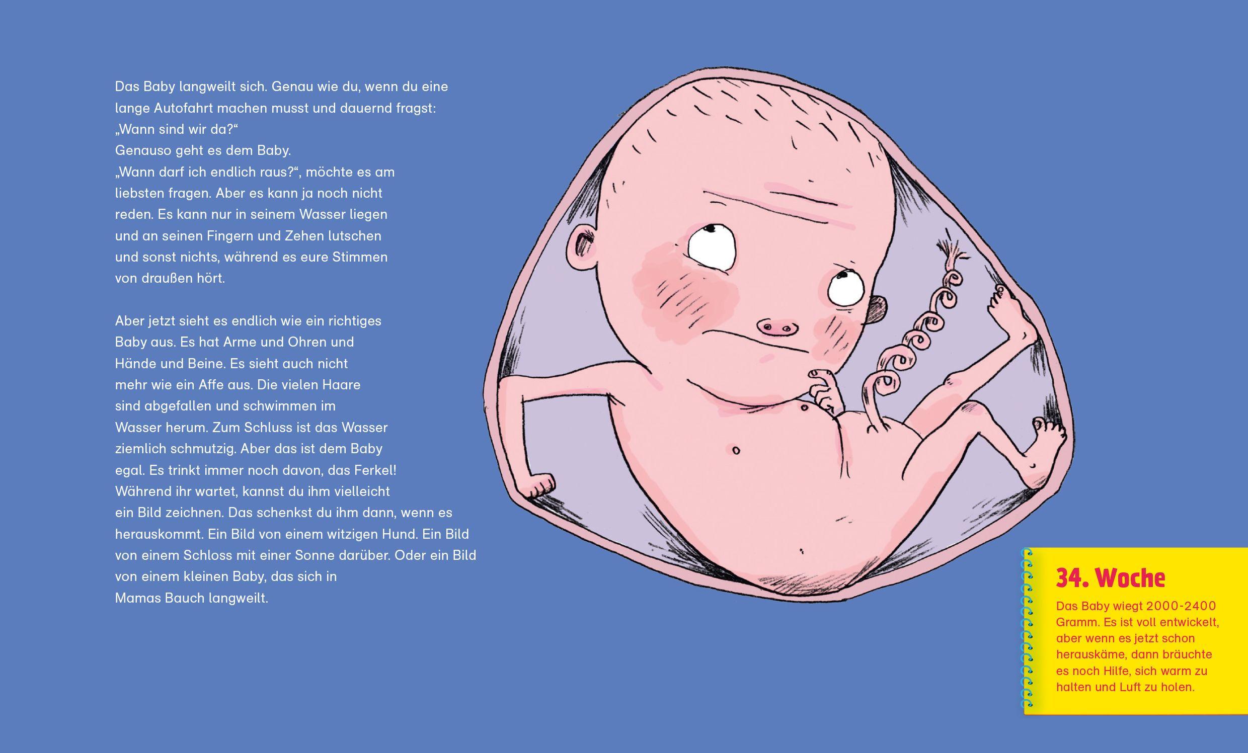 Beispielinhalt (Bild) Wer wohnt denn da in Mamas Bauch?