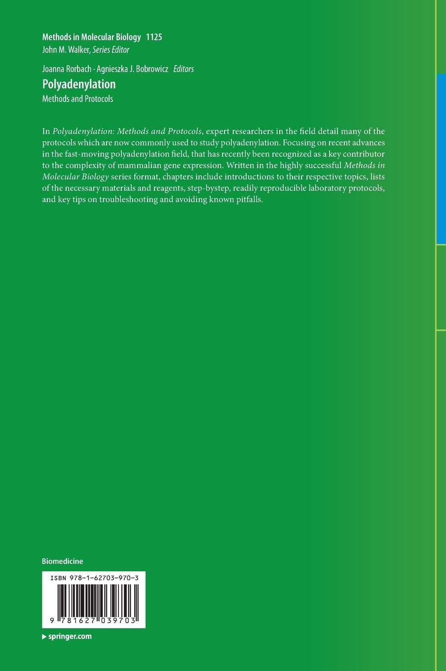 Rückseitencover Polyadenylation