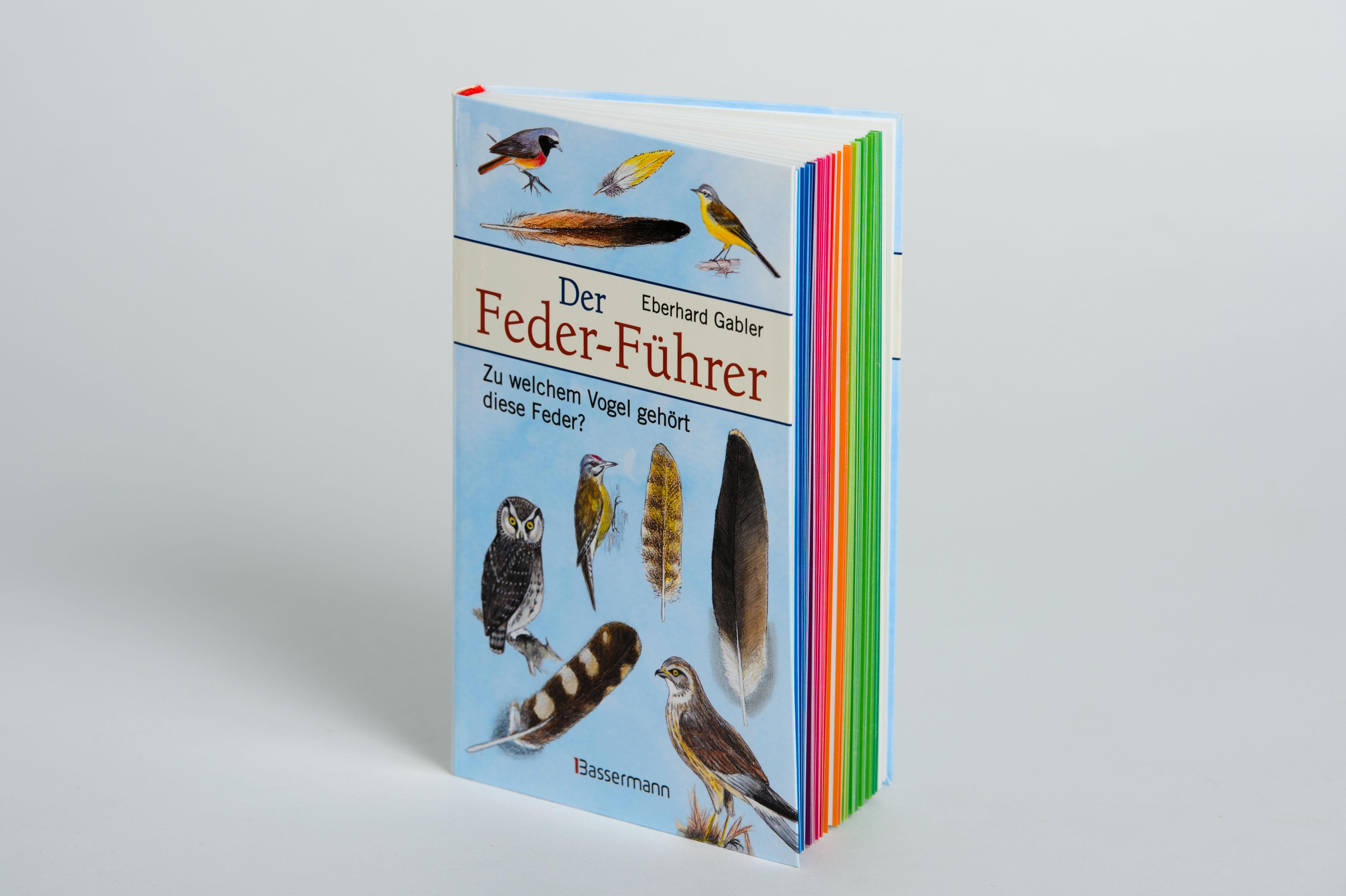 Beispielinhalt (Bild) Der Feder-Führer