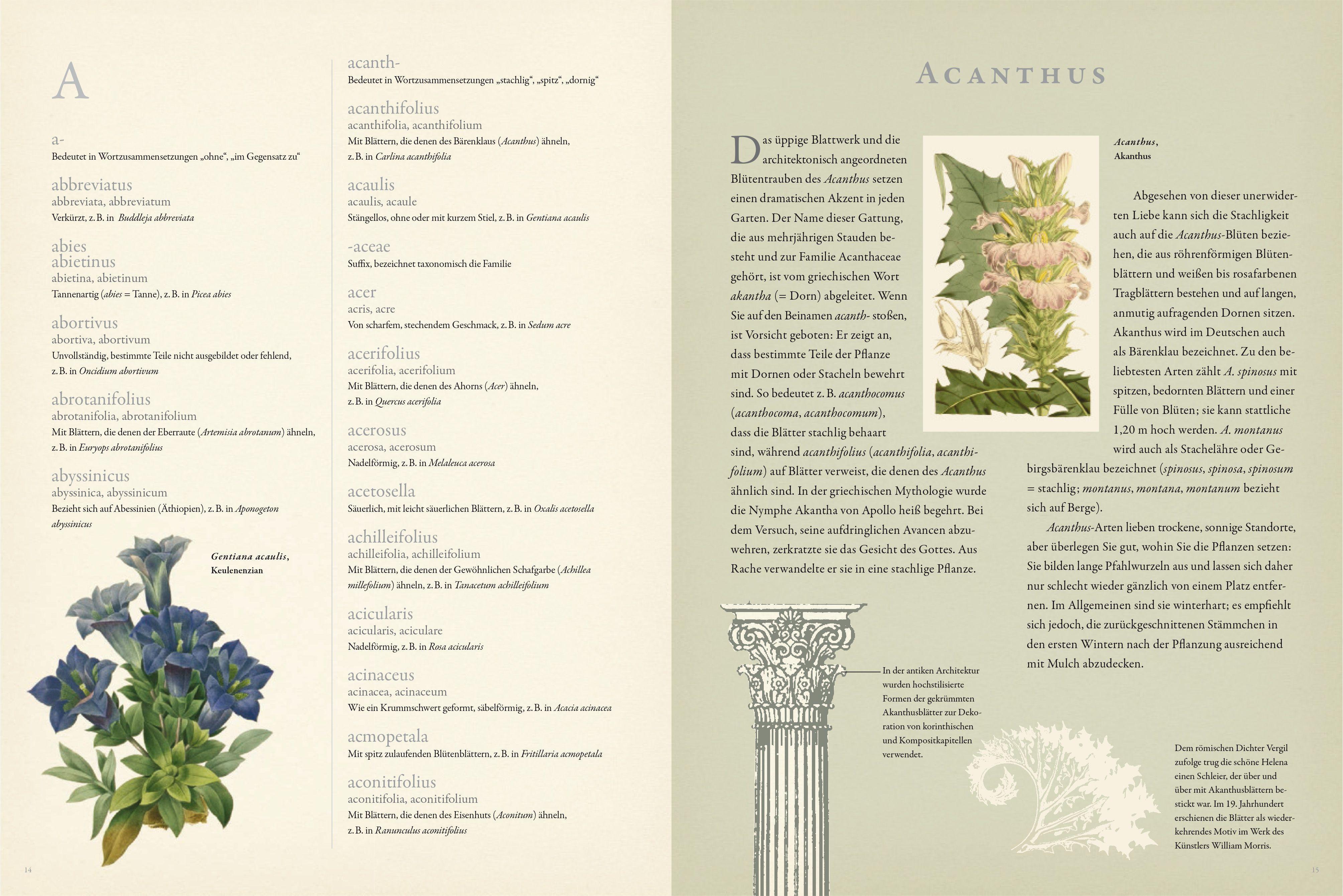 Beispielinhalt (Bild) Latein für Gärtner