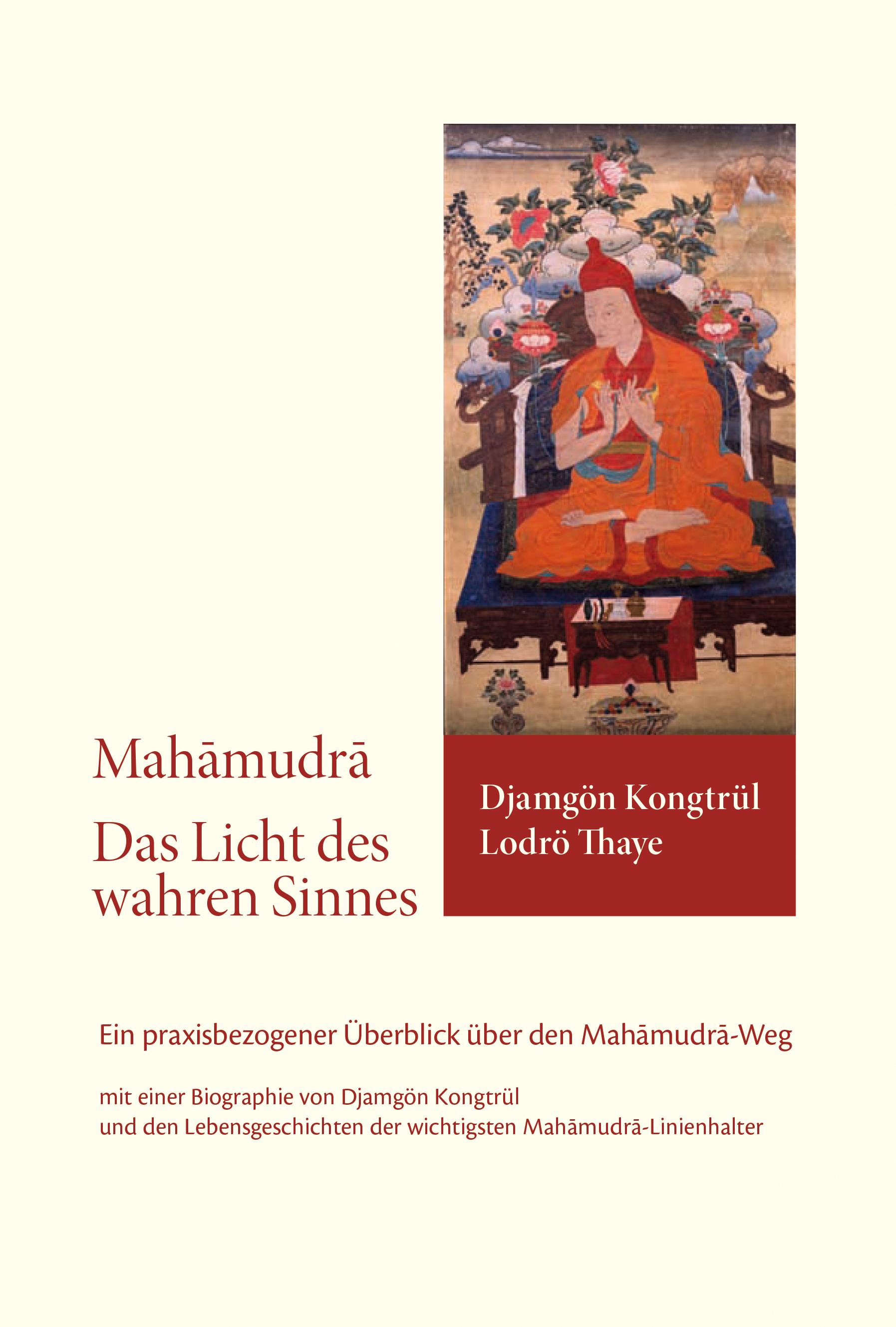 Vorderes Coverbild Das Licht des wahren Sinnes