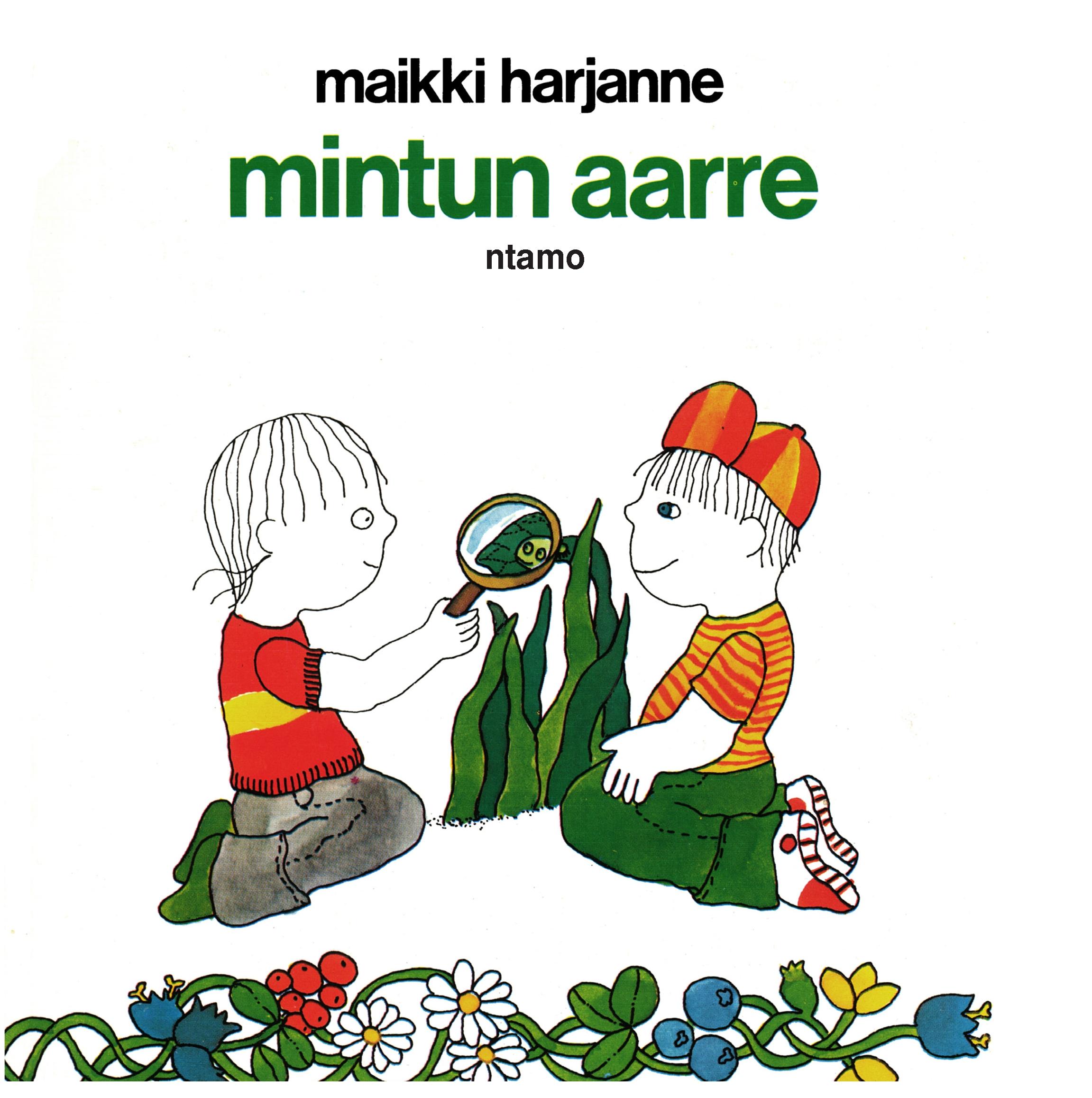 Vorderes Coverbild Mintun aarre