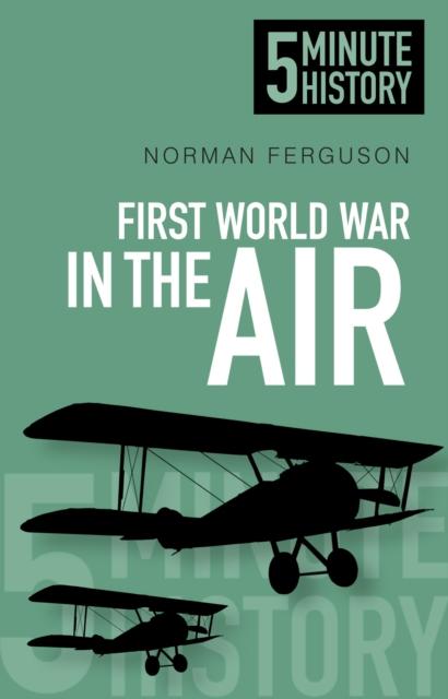 Vorderes Coverbild First World War in the Air: 5 Minute History