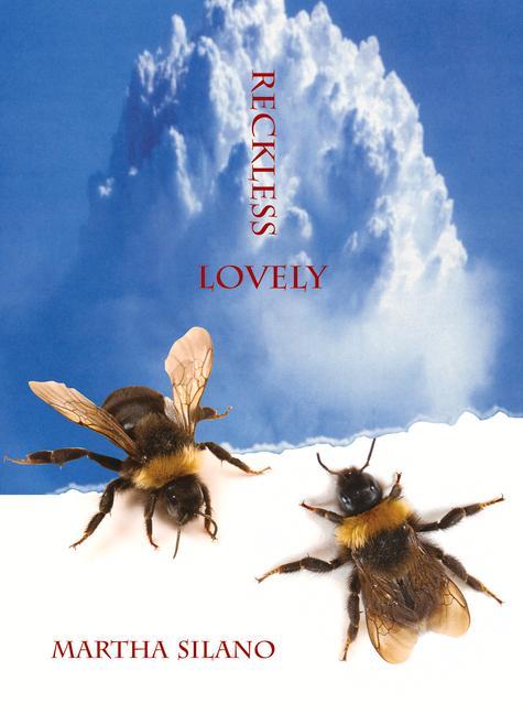 Vorderes Coverbild Reckless Lovely