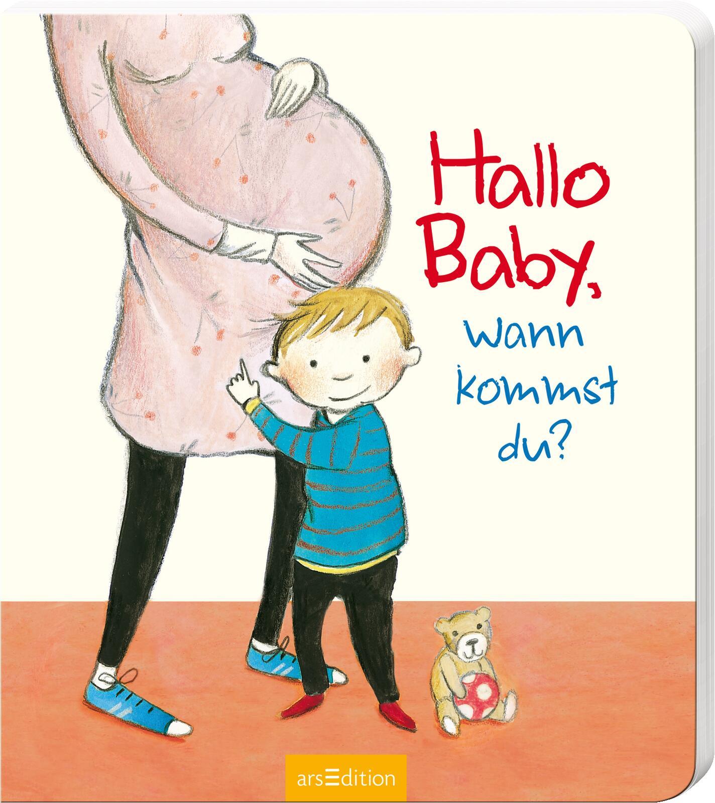 Vorderes Coverbild Hallo Baby, wann kommst du?