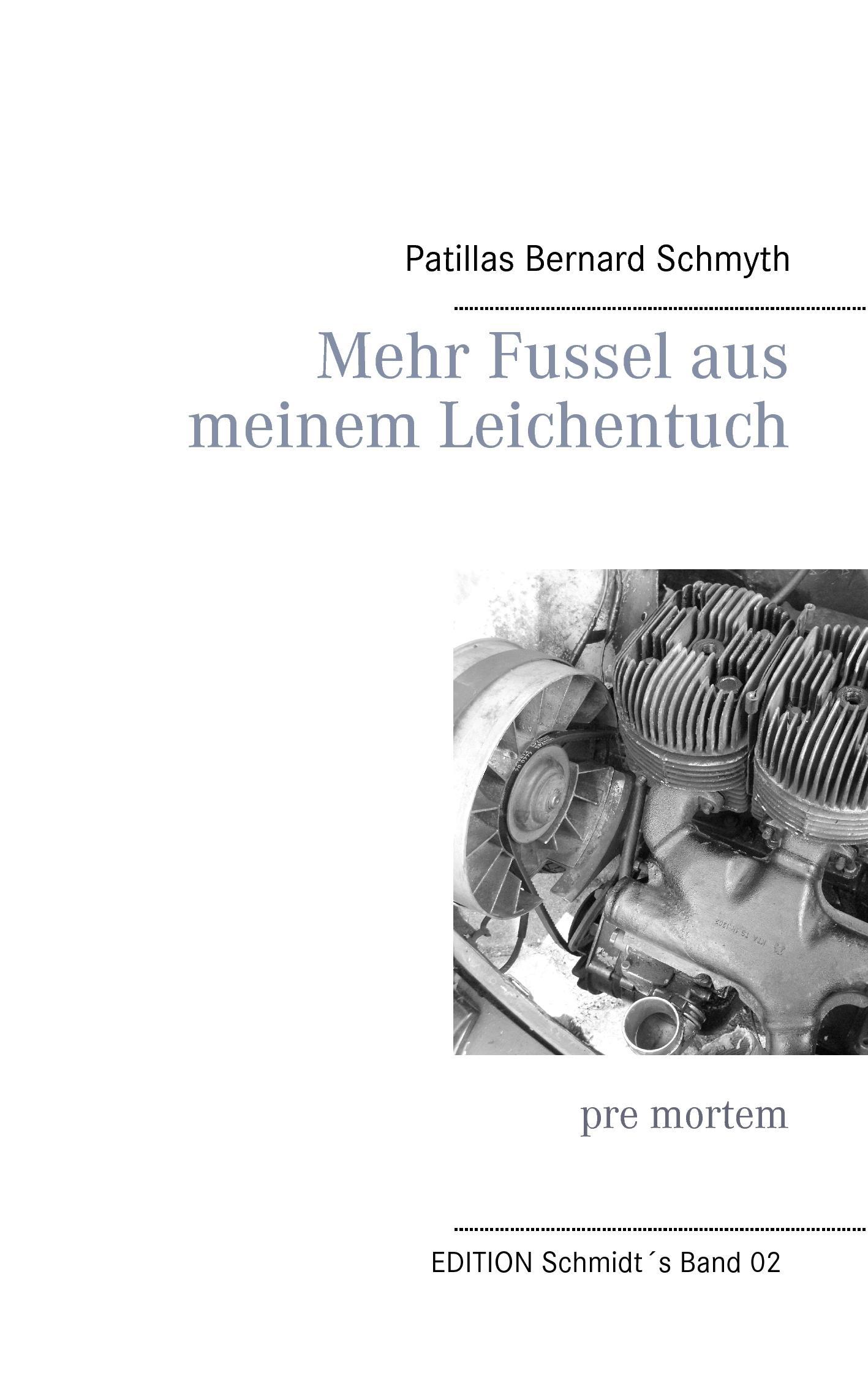 Vorderes Coverbild Mehr Fussel aus meinem Leichentuch