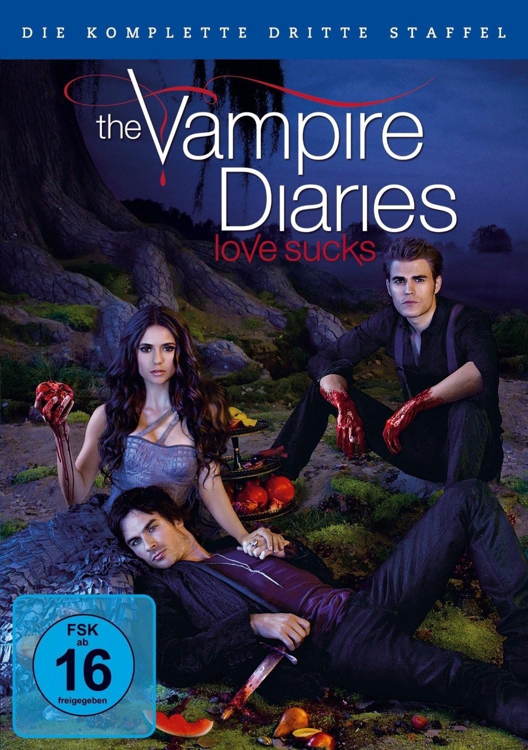 Vorderes Coverbild The Vampire Diaries