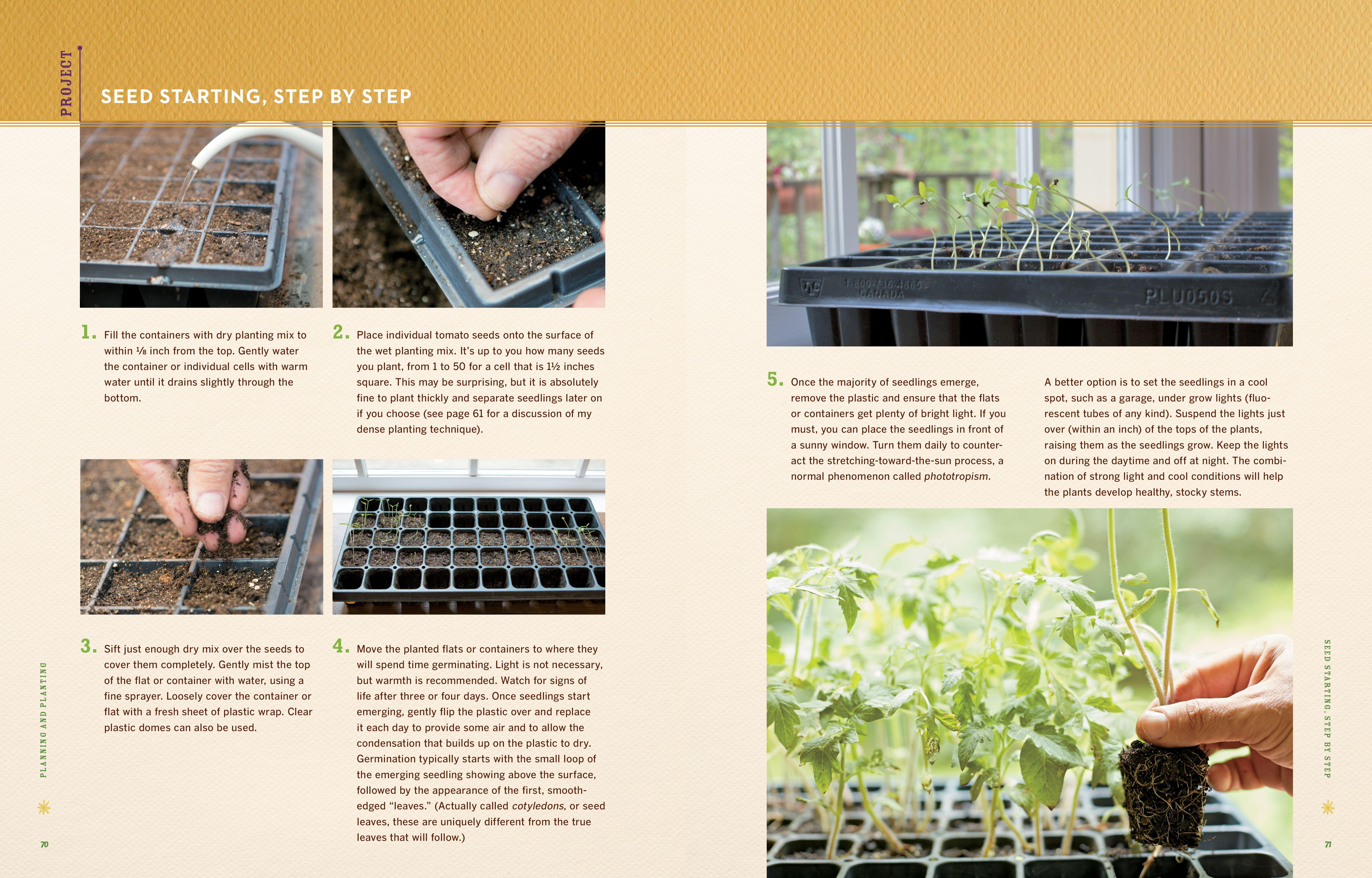 Beispielinhalt (Bild) Epic Tomatoes