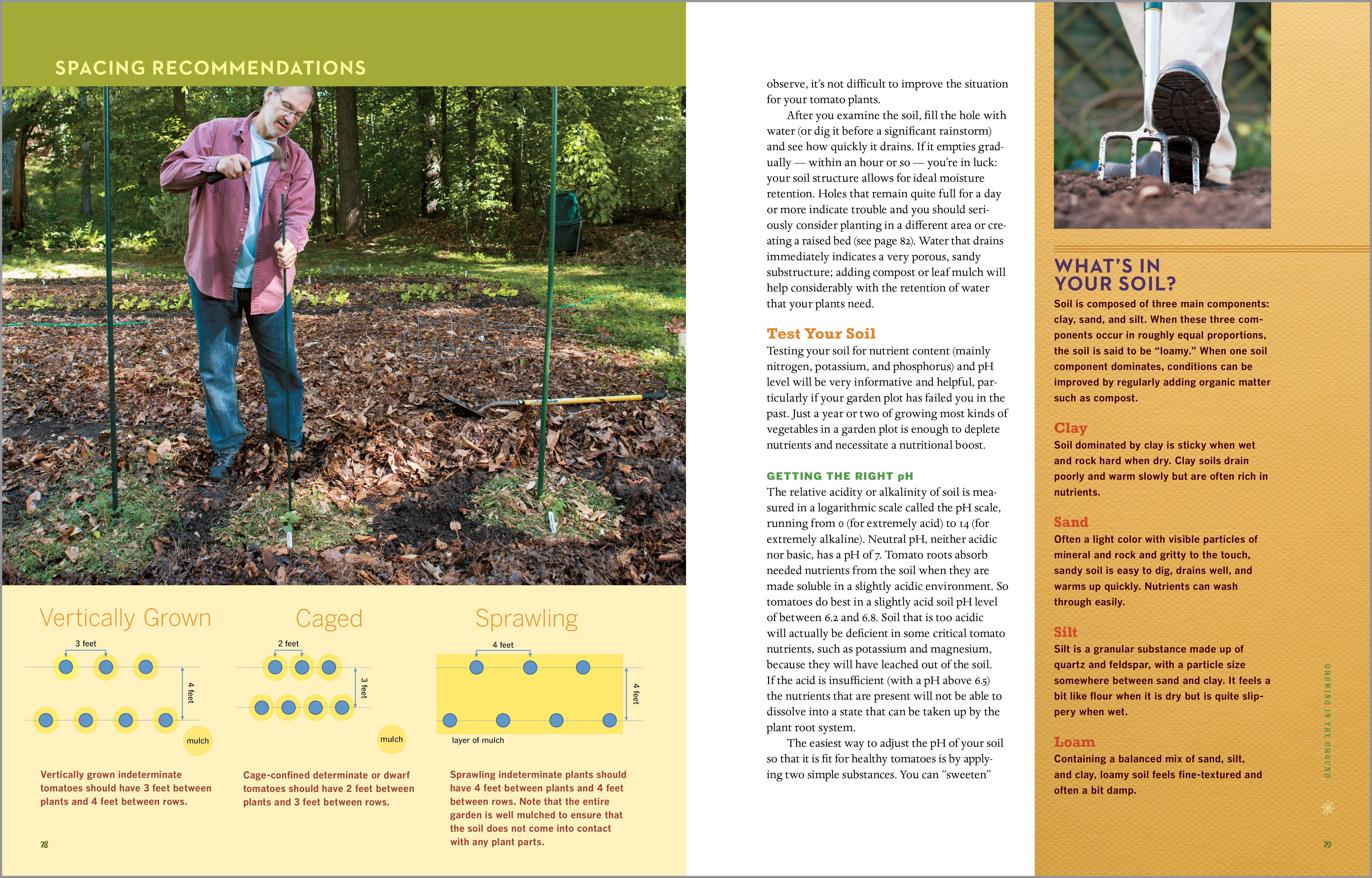 Beispielinhalt (Bild) Epic Tomatoes