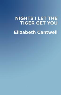 Vorderes Coverbild Nights I Let the Tiger Get You