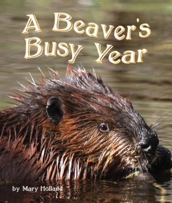 Vorderes Coverbild The Beavers' Busy Year
