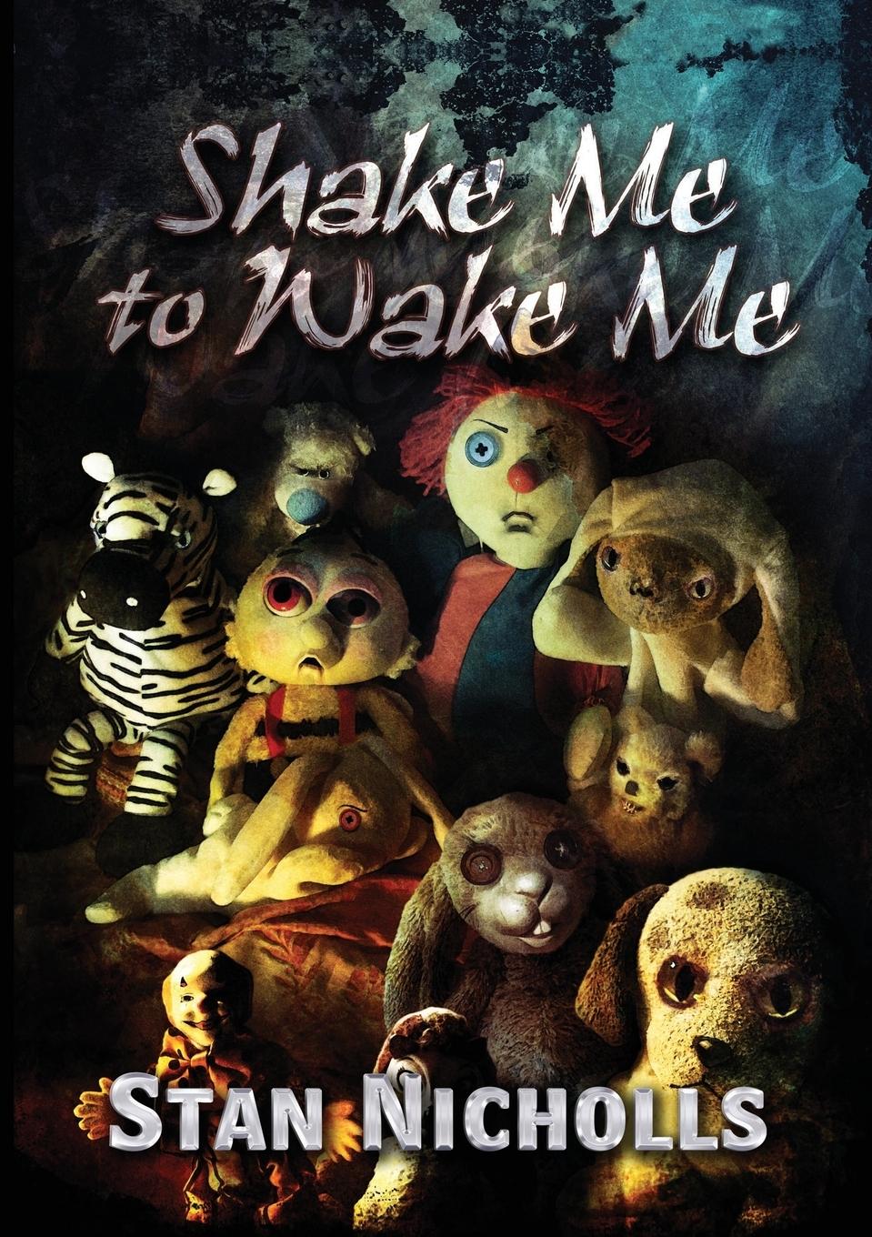 Vorderes Coverbild Shake Me to Wake Me