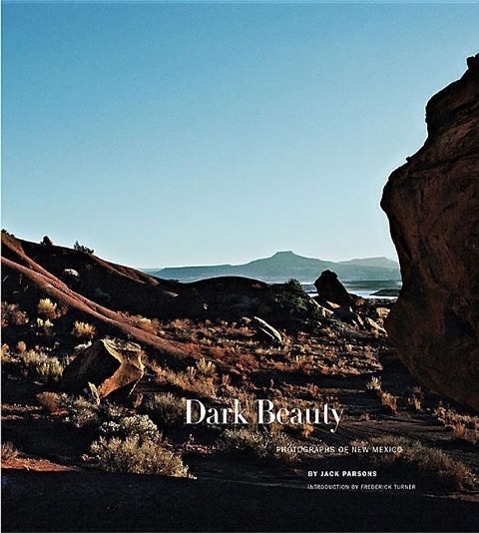 Vorderes Coverbild Dark Beauty
