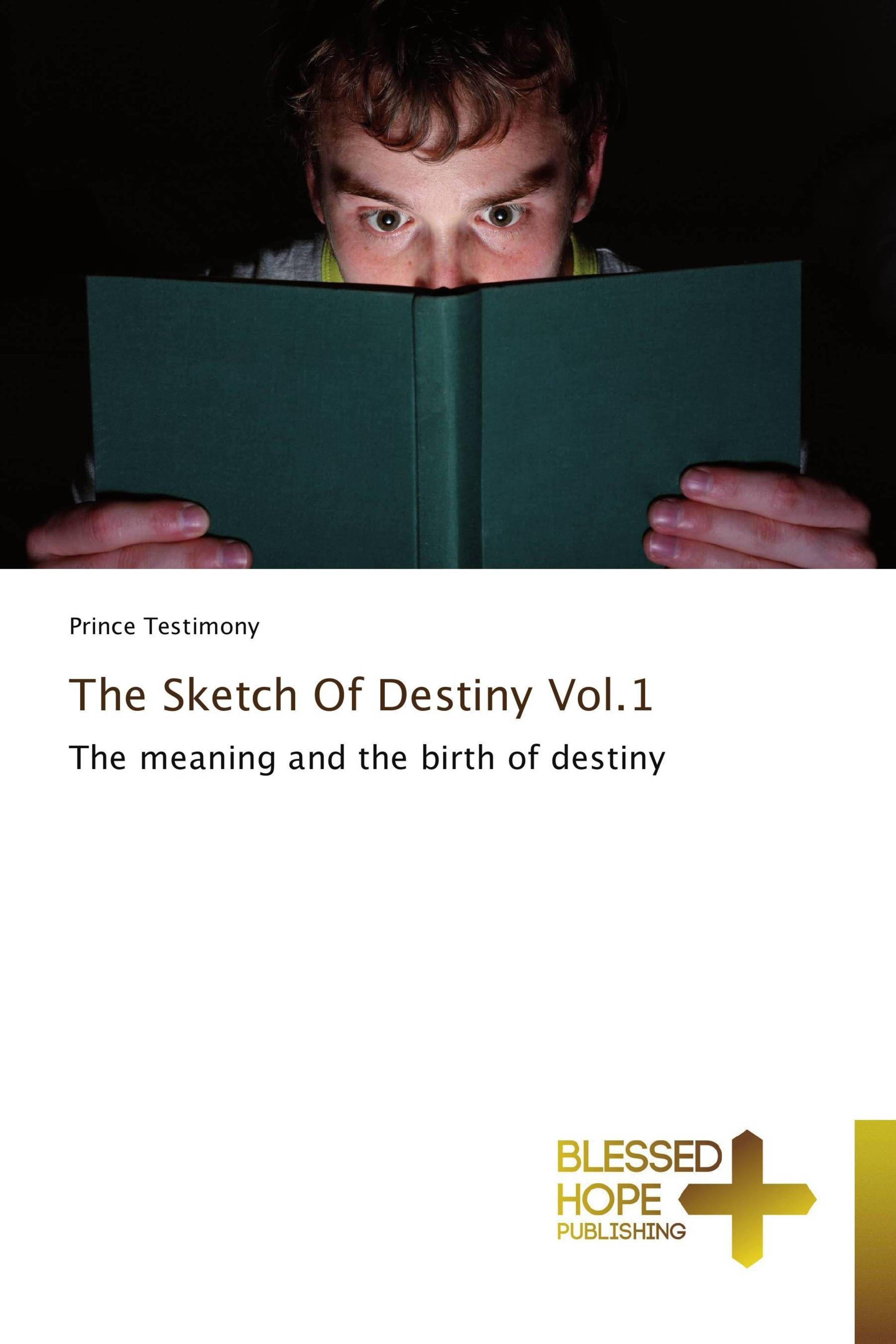 Vorderes Coverbild The Sketch Of Destiny Vol.1