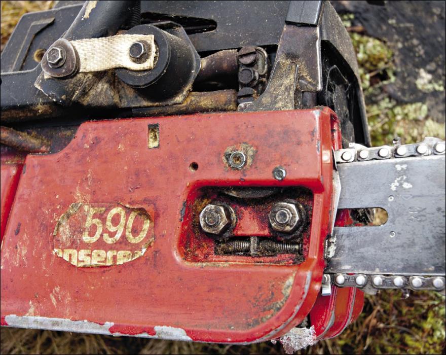 Beispielinhalt (Bild) Der Mann und das Holz