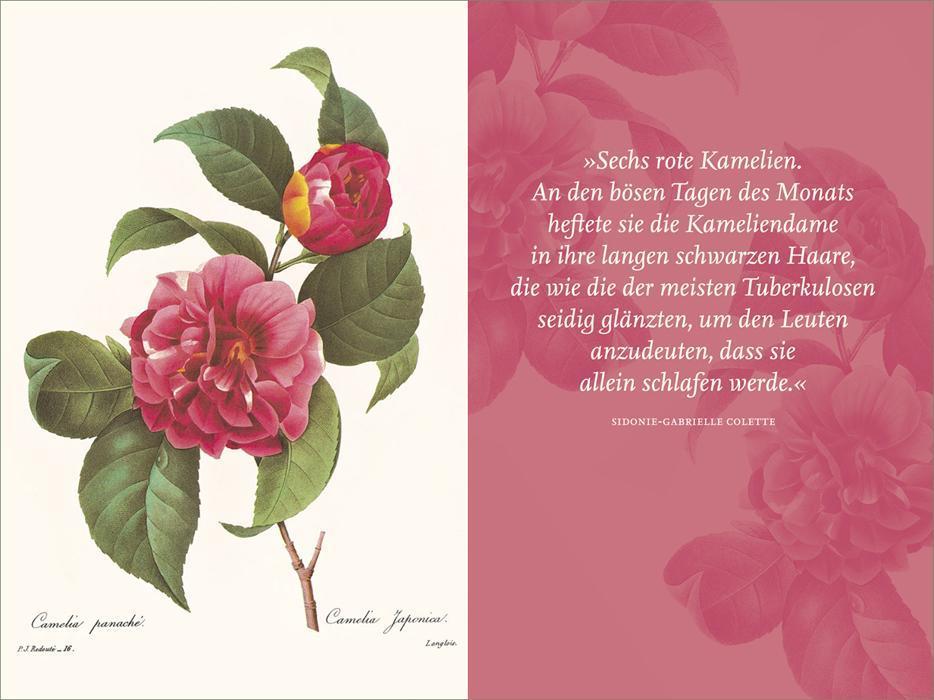 Beispielinhalt (Bild) Die Blumen der Frauen