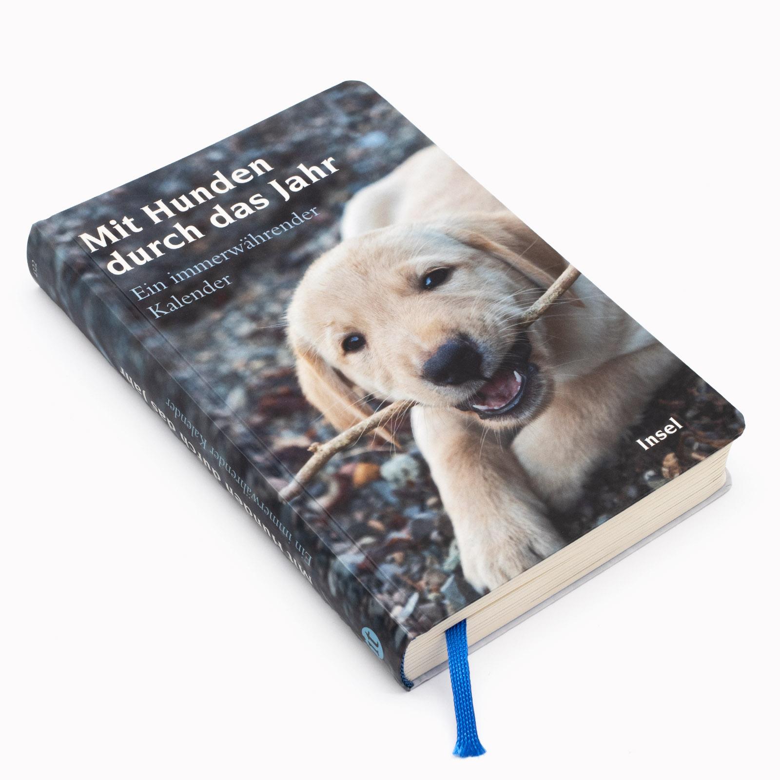Beispielinhalt (Bild) Mit Hunden durch das Jahr