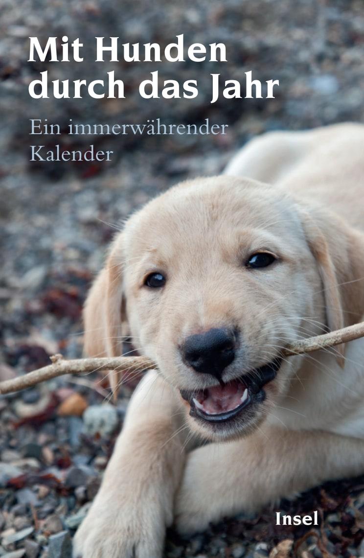 Vorderes Coverbild Mit Hunden durch das Jahr