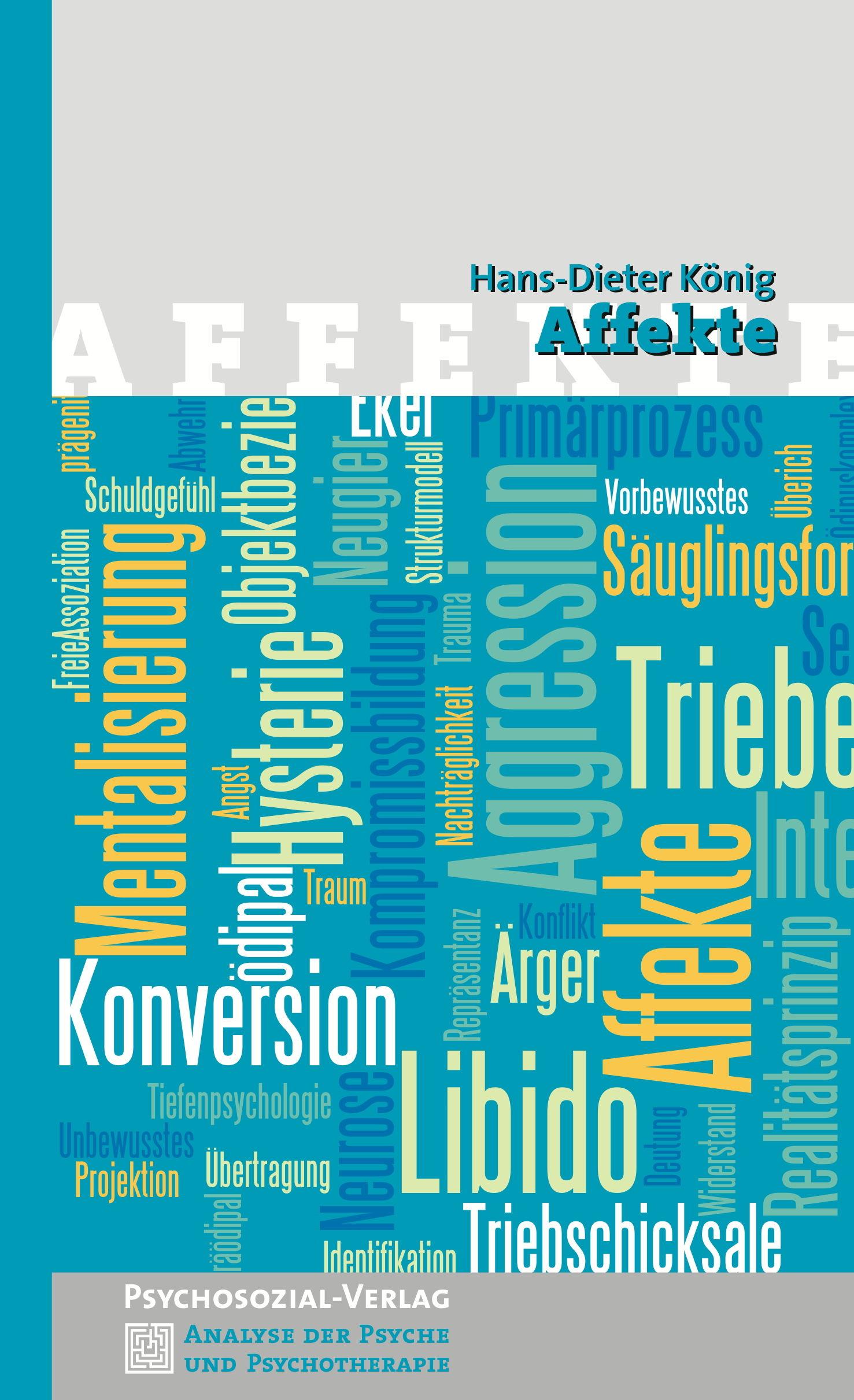 Vorderes Coverbild Affekte