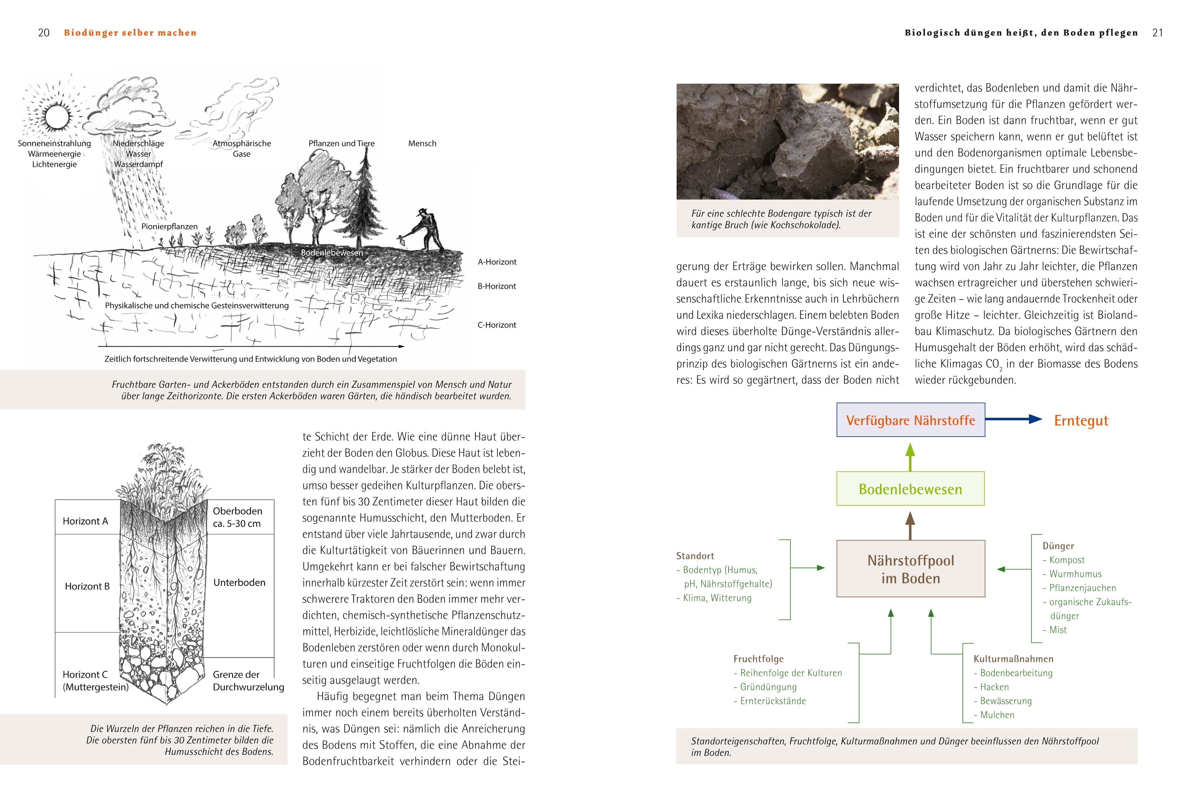 Beispielinhalt (Bild) Biodünger selber machen