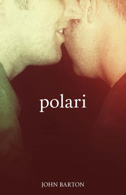 Vorderes Coverbild Polari